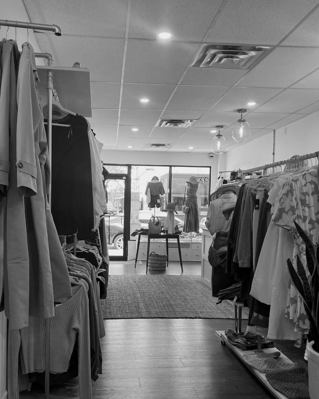 Welcome to The Oasis: Curated Style in Downtown Sarnia